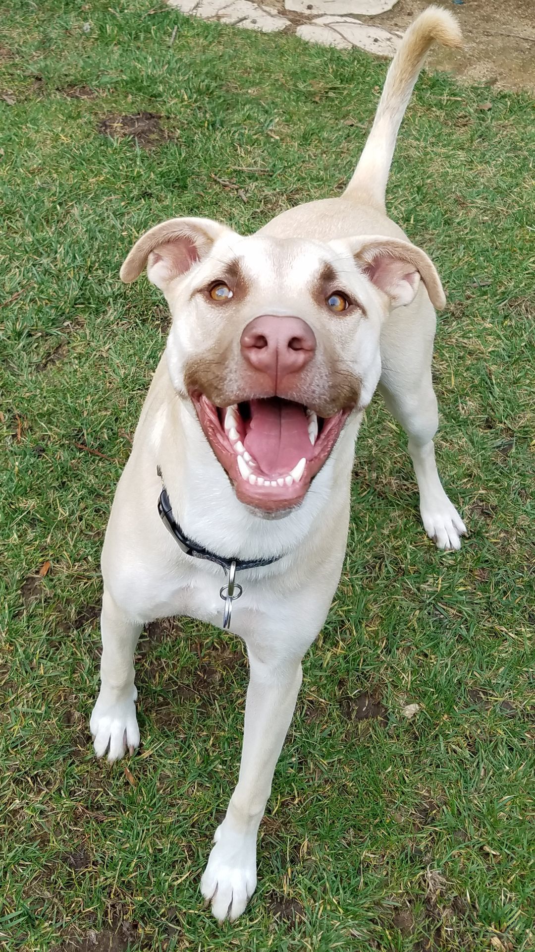 Marley